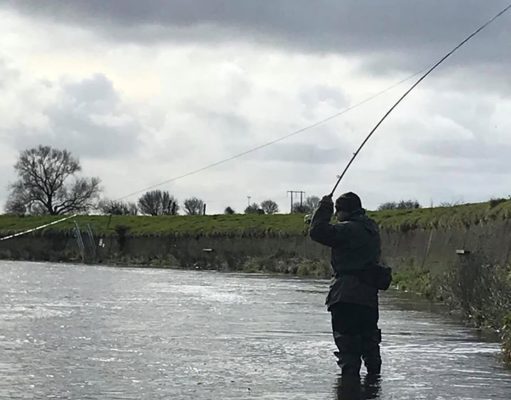 Killocrim-Finuge Fishing Club report first Feale salmon of the year Casting