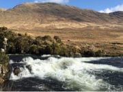 Yvonne gets two salmon for over 30lbs at Delphi