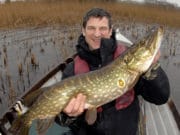 Midlands venues producing lovely pike