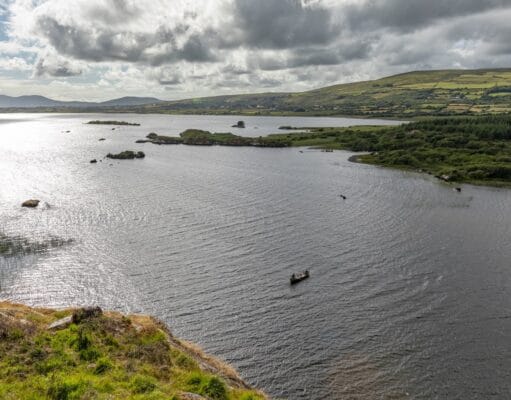 A couple of Salmon and a sea trout reported from Currane Lough Currane
