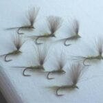 emergers