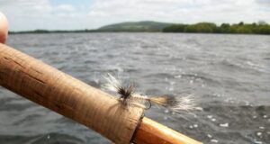 Slow return to angling continues – Irish Angling Update