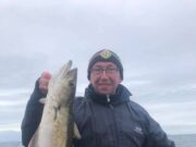 Porbeagle and more for Clare coast charter boat Pollack