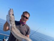 Great fishing marks anglers return to Courtmacsherry Ling - specimen size