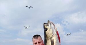 Seafishingsligo back in the water and catching plenty