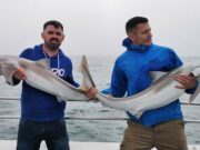 Lots of big fish for charter boat anglers out of Wicklow