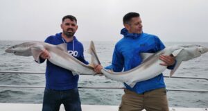 Lots of big fish for charter boat anglers out of Wicklow
