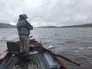 Excellent fishing reported on Carrowmore last week Playing a salmon on Carromore Lake