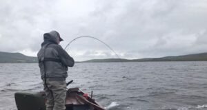 Excellent fishing reported on Carrowmore last week Playing a salmon on Carromore Lake