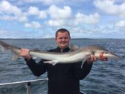 More great fishing for charter boats returning to the Clare coast Tope