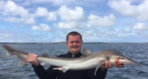 More great fishing for charter boats returning to the Clare coast Tope