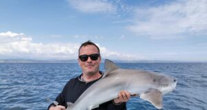 Wicklow Charters back on the water and plenty to report Tope