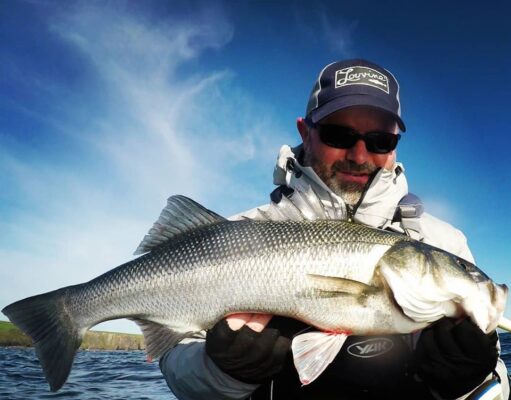 Chasing bass in West Cork bass