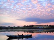 Irish Angling Update 19 June 2020 Patiently waiting for Summer evenings afloat...