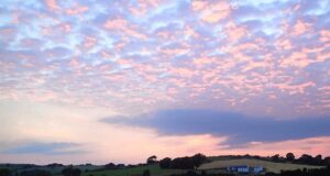 Irish Angling Update 19 June 2020 Patiently waiting for Summer evenings afloat...