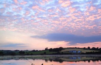 Irish Angling Update 19 June 2020 Patiently waiting for Summer evenings afloat...