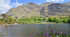Great news from Delphi Delphi Lodge