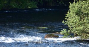 Water Levels up