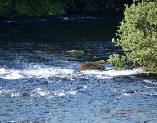 Water Levels up