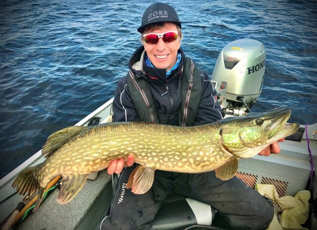 Fine Pike