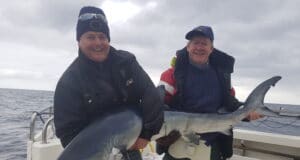 First sharks of the 2020 season reported off Cork coast