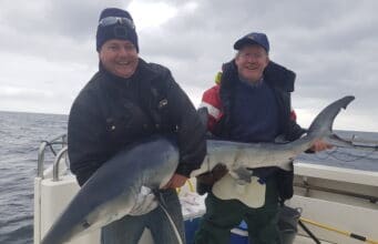 First sharks of the 2020 season reported off Cork coast