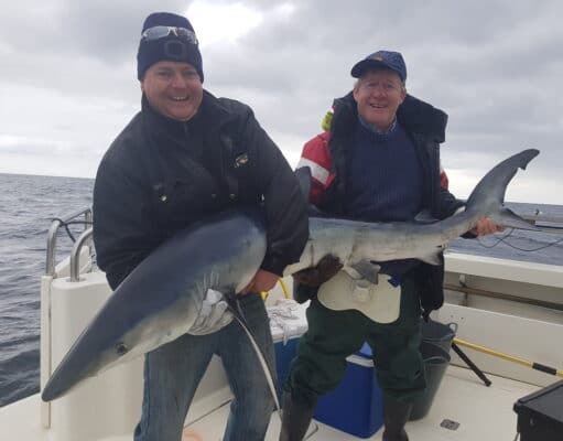 First sharks of the 2020 season reported off Cork coast