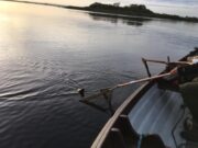 Lucky Conn anglers enjoy exceptionally mayfly season!