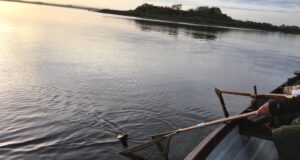 Lucky Conn anglers enjoy exceptionally mayfly season!