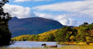 A few salmon from the Laune and Lakes at Killarney Killarney Lake