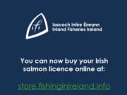 Salmon licences available to buy online now