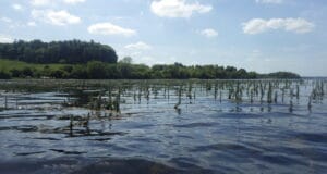 Irish Angling Update – 26 June 2020