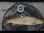 Re-Opening After Covid: Corrib View Lodge