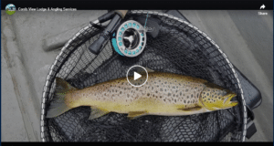 Re-Opening After Covid: Corrib View Lodge