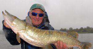 Pike to 110cm on lure and fly for Midlands anglers pike