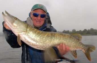 pike