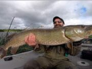 Shannon producing some good pike lately 111cm pike