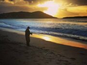 Irish Angling Update – 31 July 2020