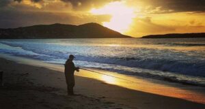 Irish Angling Update – 31 July 2020