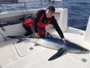 Sweet 16 for a fabulous 50 Blue shark about to be released