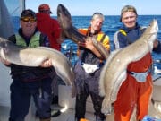 Silver Dawn’s extended licence put to good use with monster ling on the wrecks