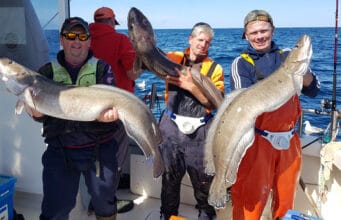 Silver Dawn’s extended licence put to good use with monster ling on the wrecks