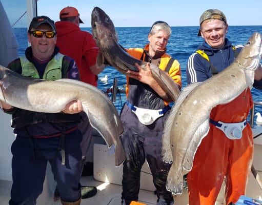 Silver Dawn’s extended licence put to good use with monster ling on the wrecks