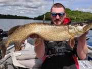24 pike in a session for Guided Predator Angling