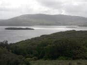 Anglers on Carrowmore doing well despite windy weather