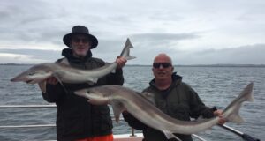 Book a trip on the Clare Dragoon