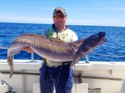 Irish Angling Update – 24 July 2020