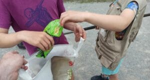 Anglers and respect for the countryside