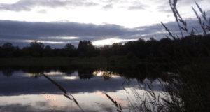 Lough Sheelin Angling Report: July 6th – July 12th 2020