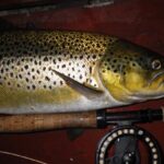 Lough Sheelin’s magic – a trout of almost 6lbs